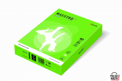 Maestro Color Papier xero A4 80 g zieleń wiosenna