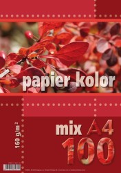 Kreska Papier xero mix kolorów A4 160 g 100 arkuszy