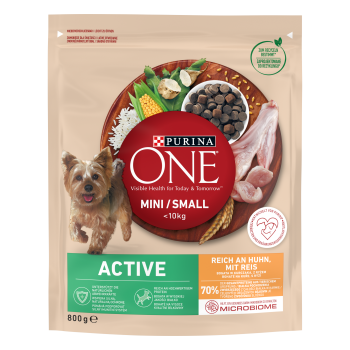 Purina One Mini Active Karma Dla Psa Kurczak Ryż 800G