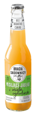 Bracia Sadownicy Musujące jabłko i mięta 275 ml