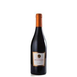 'Wino Contessa Carola Appassimento C.W. 750 ml