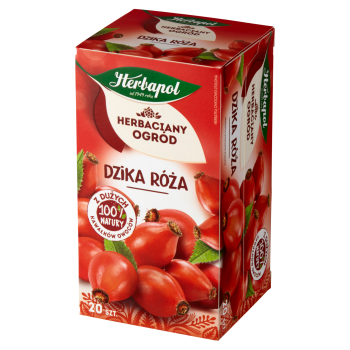 Herbapol Herbaciany Ogród Dzika róża Herbatka owocowo-ziołowa 80 g (20 torebek)