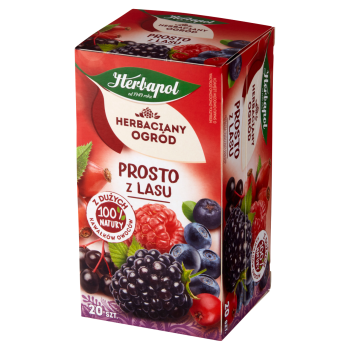 Herbapol Herbaciany Ogród Prosto z lasu Herbatka owocowo-ziołowa 50 g (20 torebek)