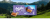 Milka Czekolada mleczna Oreo 100 g