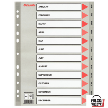 Esselte Przekładki plastikowe szare PP A4 12 miesięcy numeryczne