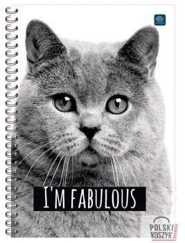 Kołozeszyt A5 100 kratka INTERDRUK