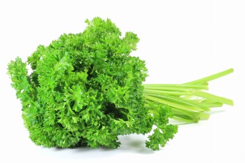 Natka pietruszki karbowana pęczek