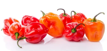 Papryka habanero czerwona (15 - 17 szt.)