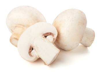 Pieczarki tacka 500 g