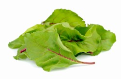 Liście botwiniki 125g