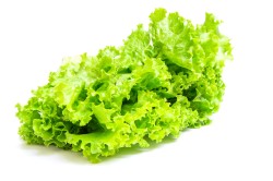 Sałata dębowa zielona 1 szt. 150g