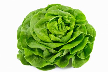 Sałata masłowa 1 szt  180 g