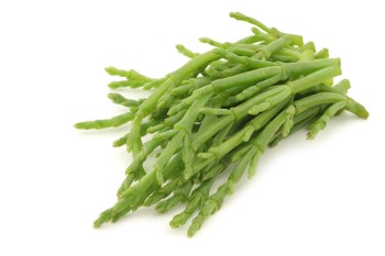Soliród