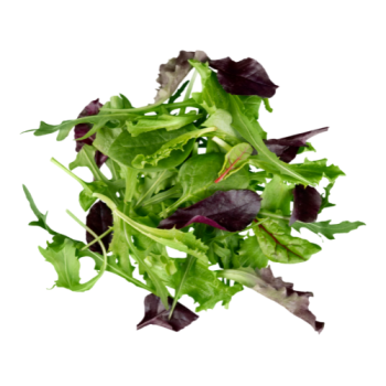 8d6783ca49f4760b4ce12edc6a285664.png