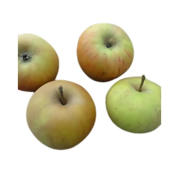 1f1322a7f69424e81115b9ed44becede.png