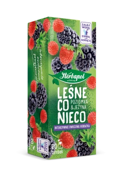 Herbapol Lublin Leśne co nieco 20 tb. x 2g