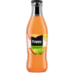 Cappy Multiwitamina 250 ml szkło