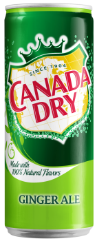 Napój gazowany Canada Dry 0,33L