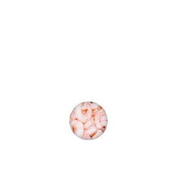 MyFood Krewetki zimnowodne (Pandalus borealis ) gotowane, obrane, głęboko mrożone, glazurowane, 300-500 szt./lb, glazura: 20%, 800 g /1000 g