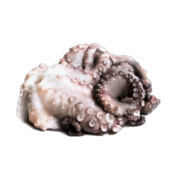 MyFood Ośmiornica cała, surowa (Octopus vulgaris) głęboko mrożona, rozmiar: 1-2 kg