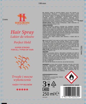 HEGRON Lakier do włosów Perfect Hold 250 ML