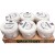 Planton natural 1kg