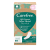 Carefree® Cottn Organic 30 szt.