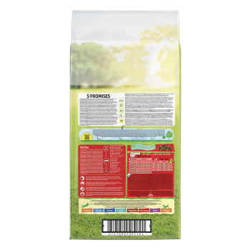 Friskies® Active z Wołowiną 10kg