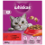 Whiskas 1+ Sucha karma z wołowiną 800 g