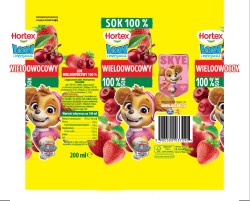 Hortex LEON 0,2L S WIELOOWOCOWY słomka [27]