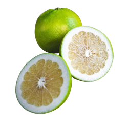 0bf1c0137f365021edf9fef99a442a4d.png