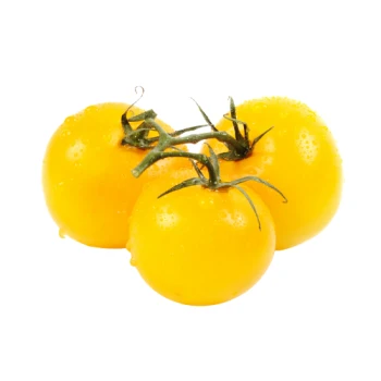 394fa0994759274fbf4bf7a78ffda5cf.png