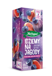 Herbapol Lublin Idziemy na jagody 20 tb. x 2g