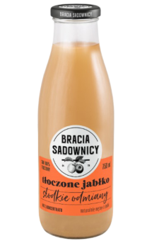 Zrzut ekranu 2026-01-22 143849 (1).png