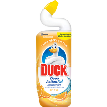 1768501151394-7619-3-htkacf.png