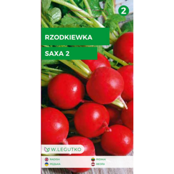 1768509045191-21795-3-zq8nn.png