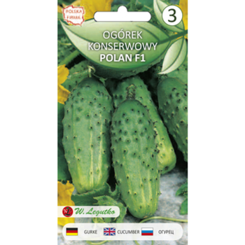 1768509345163-22480-3-zcvspy.png