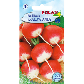 1768509882953-23737-3-pav7dq.png