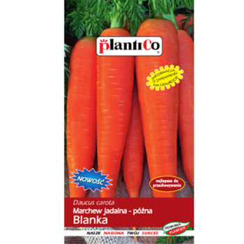 1768510127712-24302-3-brulat.png
