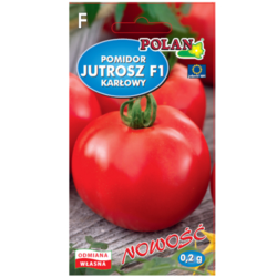 1768512187265-28750-3-kjb0bf.png