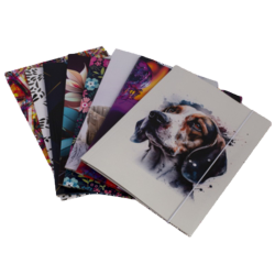 image-editor%2Fzip-import%2F1776698382077-558-25ed0f2a6f71.png
