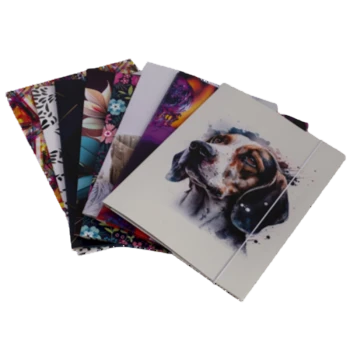 image-editor%2Fzip-import%2F1776698382077-558-25ed0f2a6f71.png