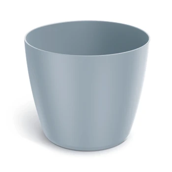 1775832682554-wqn4v.png