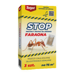 image-editor%2Fzip-import%2F1776698382077-1045-46b790a9aba6.png