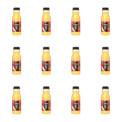 1773272897173-7592-2-x12-ygorg.png