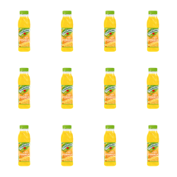 1773272900006-7597-2-x12-5c48y.png