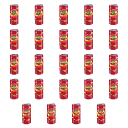 1773272918292-7624-2-x24-pr38zr.png