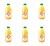 image-editor%2Fmultipack%2F1777032539201-r2037-c1-x6.png