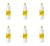 image-editor%2Fmultipack%2F1777032892009-r2432-c1-x6.png
