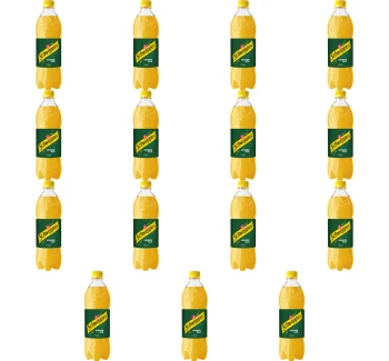image-editor%2Fmultipack%2F1777032953594-r2494-c1-x15.png